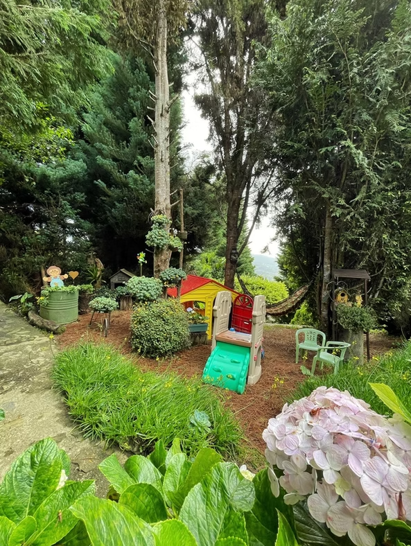 Chalet Boutique Colonia Tovar - Imagen 2