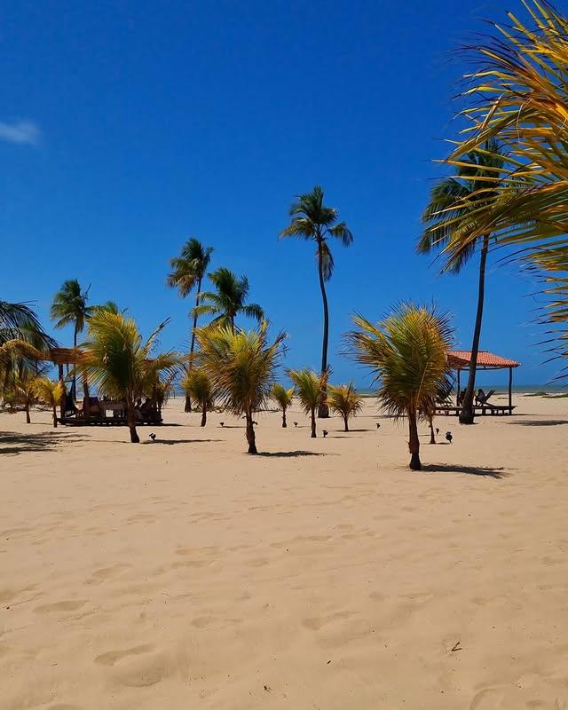 Pastora Beach - Imagen 10