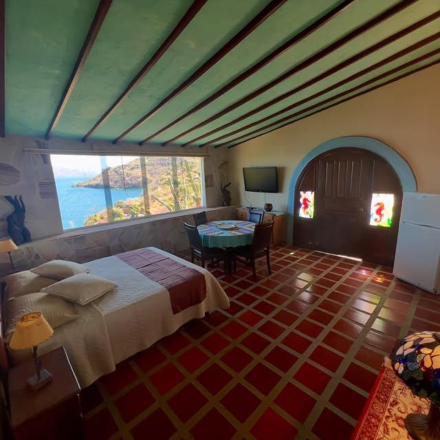 Posada Iguanazul Suites background