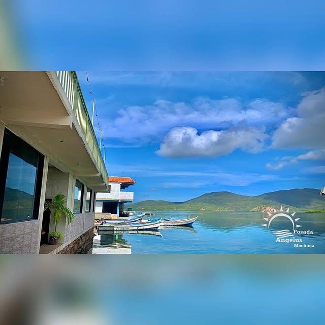 Posada Angelus background