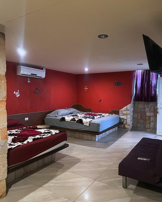 Posada Neneko background