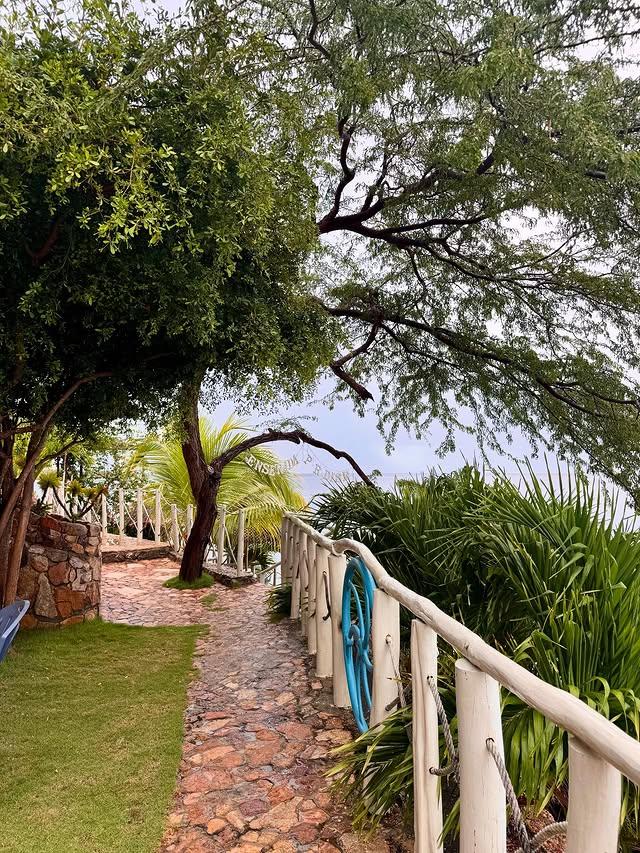 Ensenada Paradise background