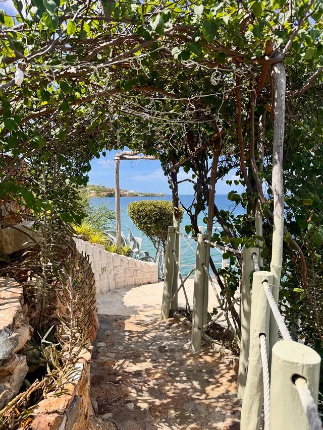 Ensenada Paradise background