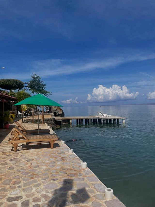 Ensenada Paradise background