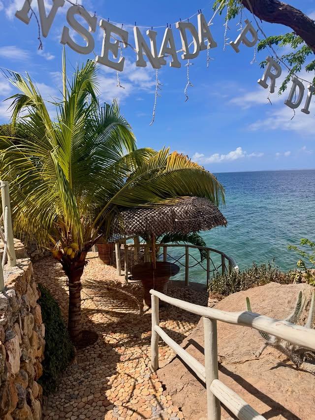 Ensenada Paradise background