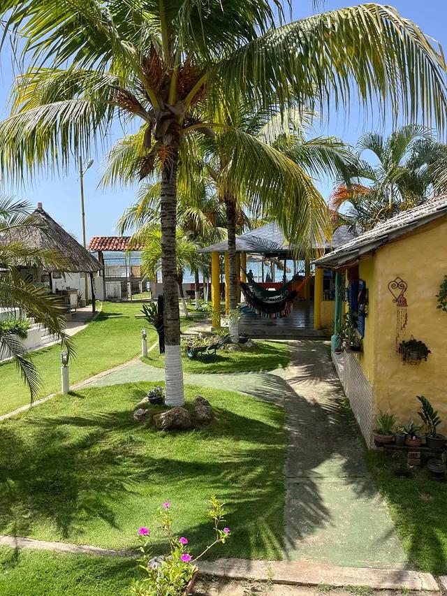 Casa El mangle background