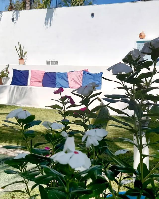 Casa El mangle background