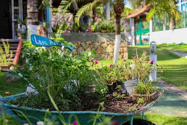 Casa El mangle background