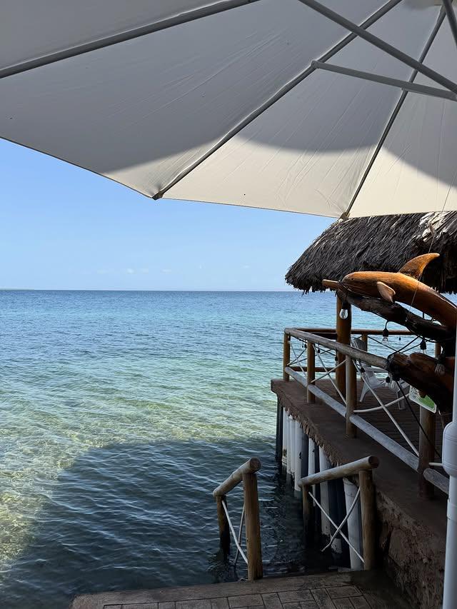 La Yuketa background