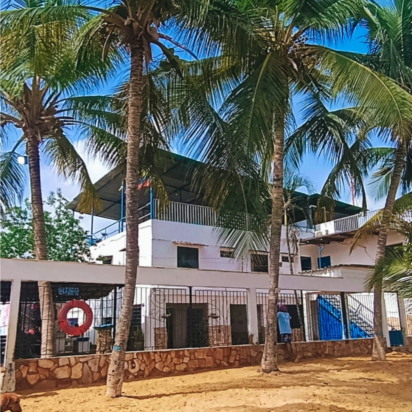 Posada Los 7 Delfines background