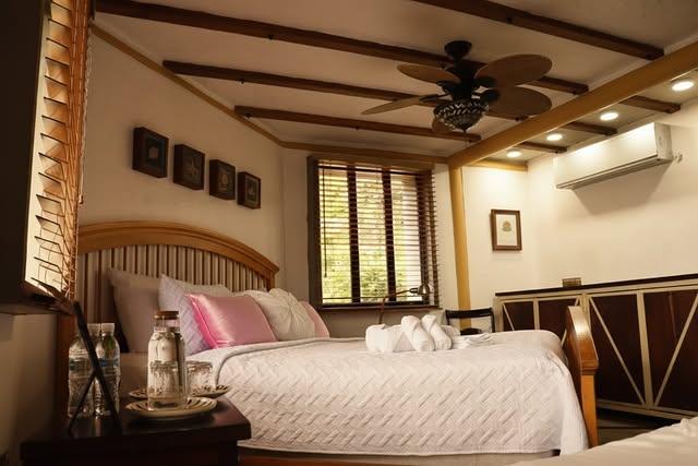 Casa Luna background