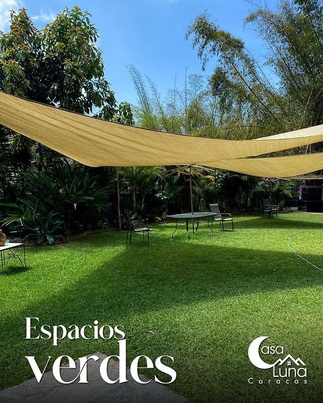 Casa Luna background