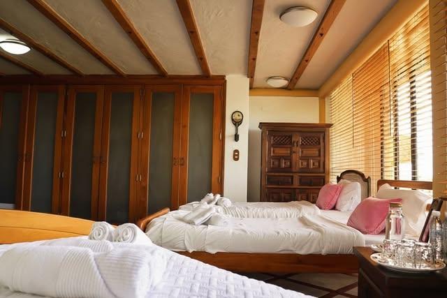 Casa Luna background