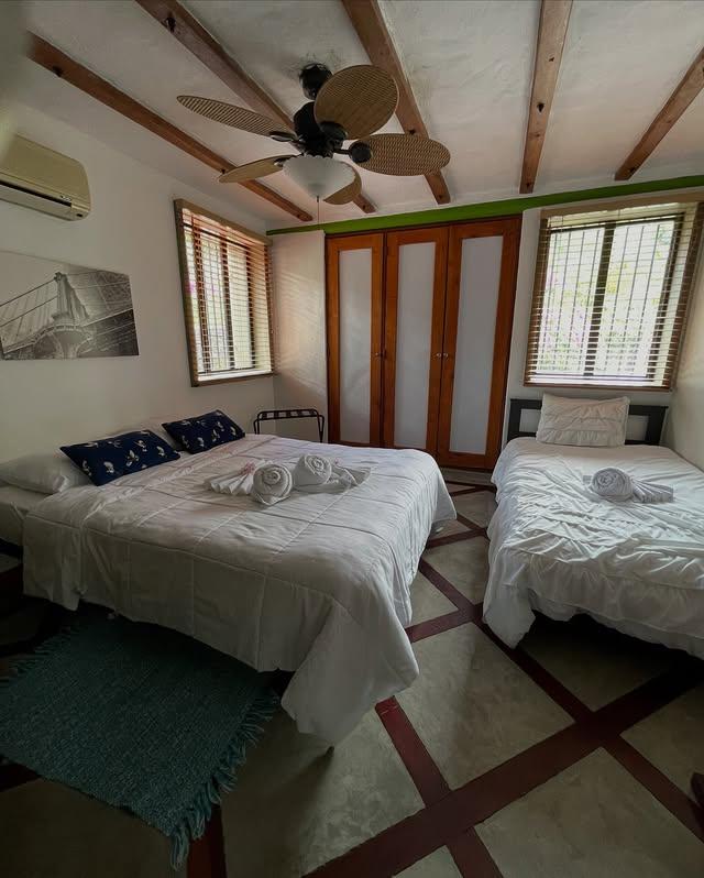 Casa Luna background