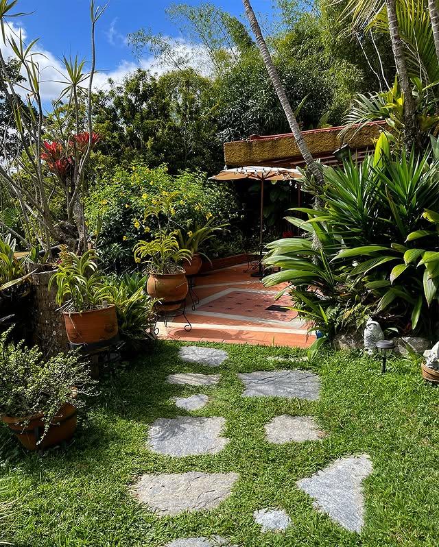 Casa Luna background