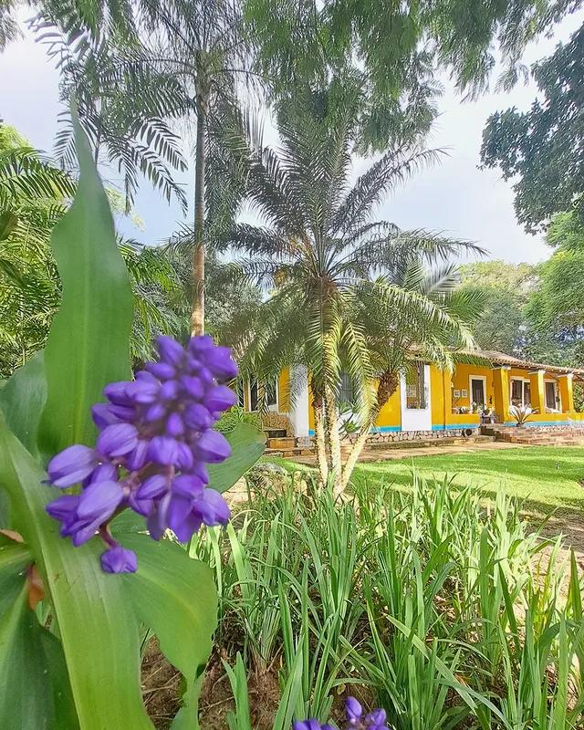 Posada Mocundo background