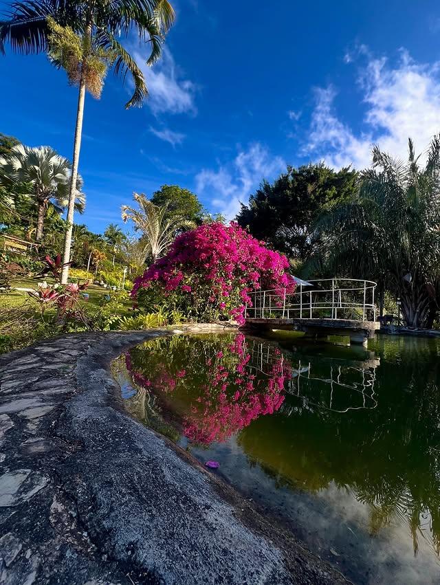 Amarama Posada background