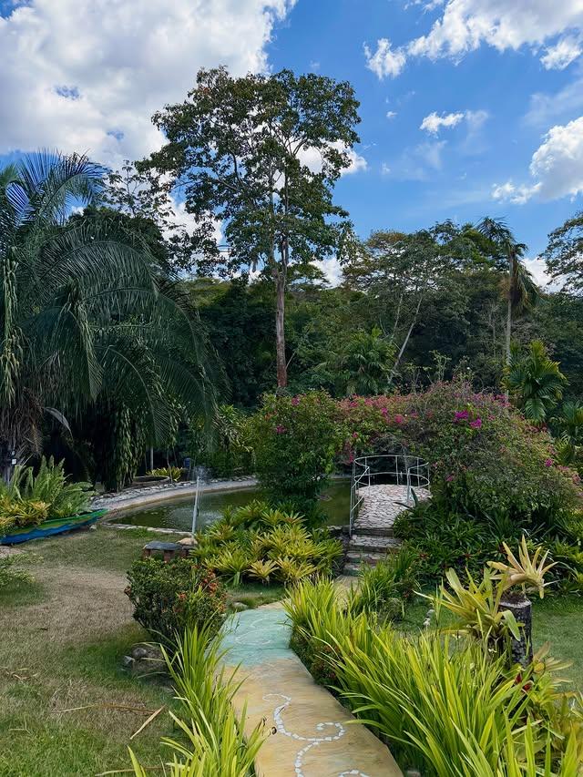 Amarama Posada background