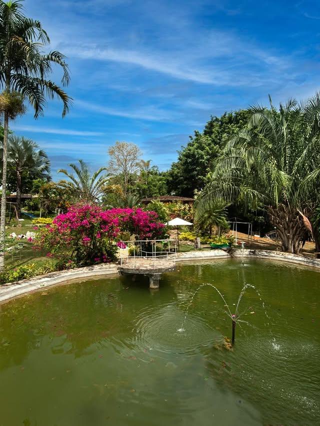 Amarama Posada background