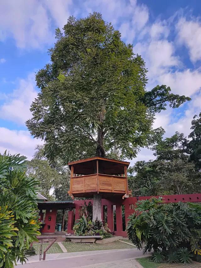 Mampote Ranch background