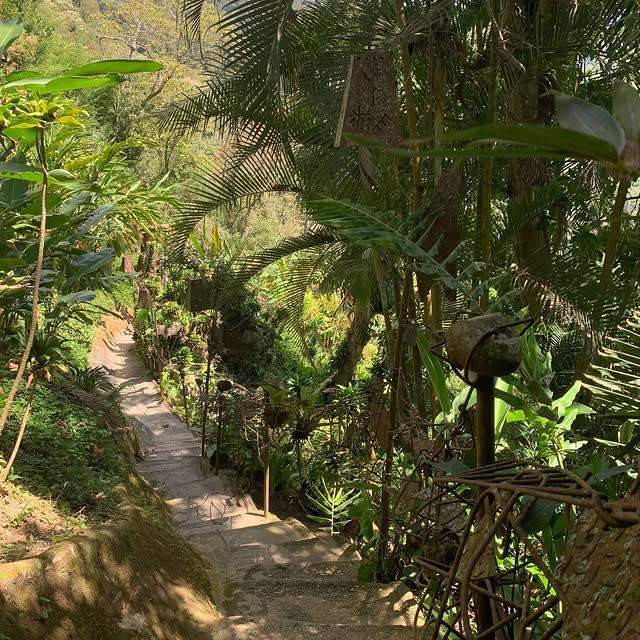 Pozo Suruapo background