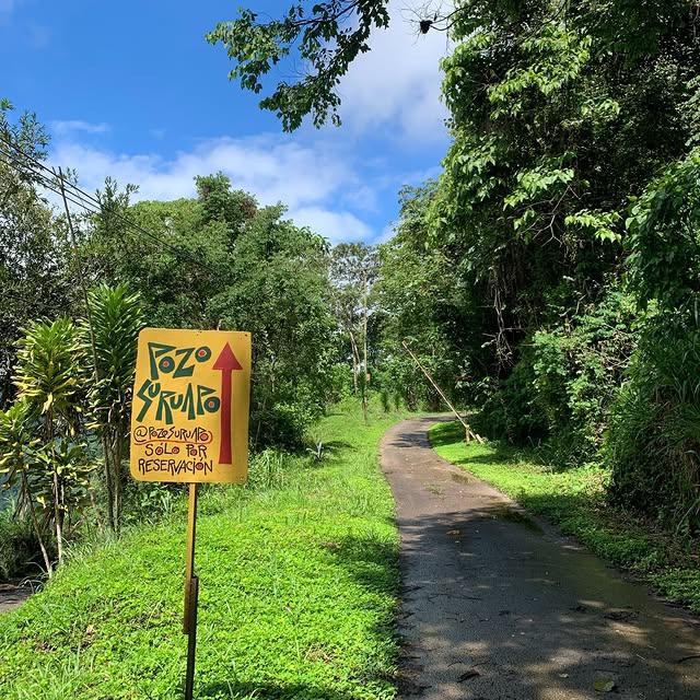 Pozo Suruapo background