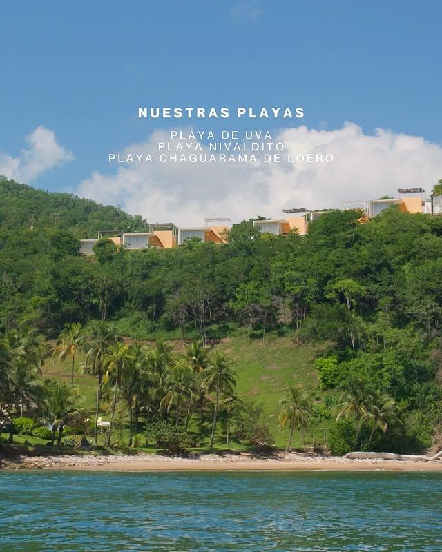 Villa Playa de Uva background