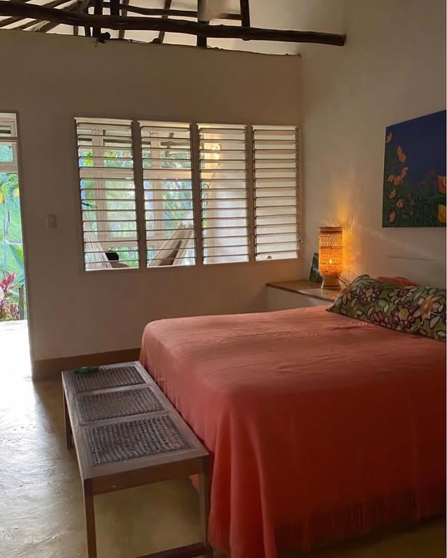 Villa Playa de Uva background