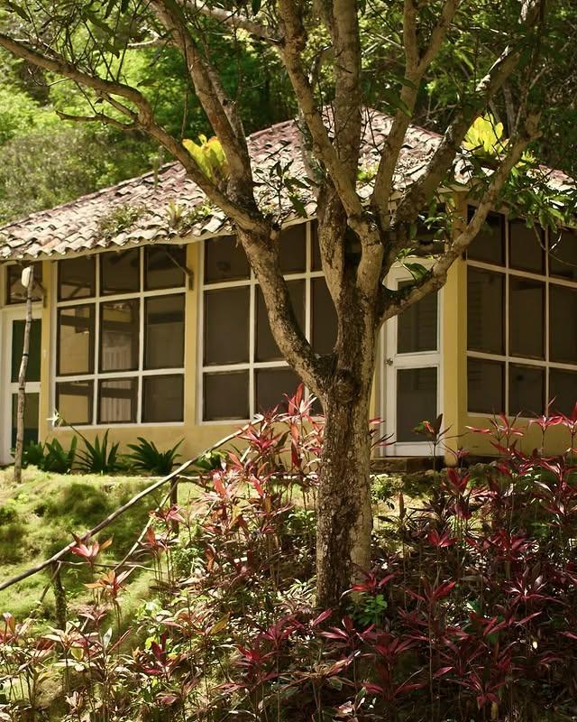 Villa Playa de Uva background