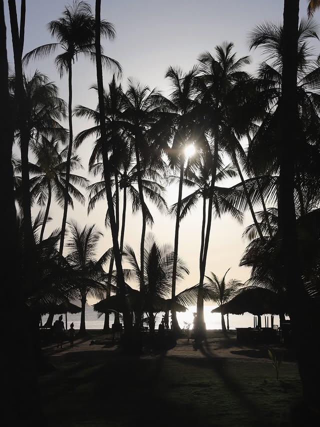 Villa Playa de Uva background