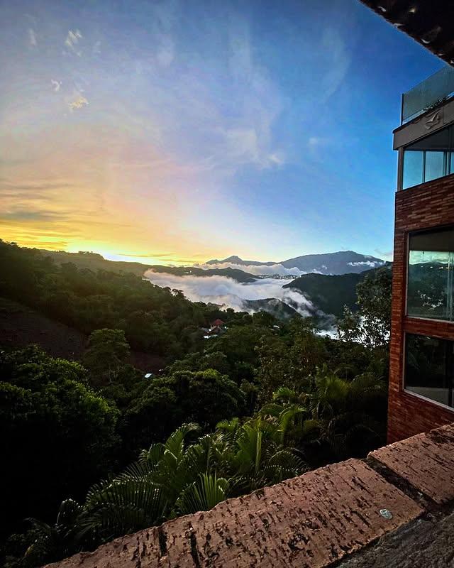 Boutique Hotel Mesod Jungle background