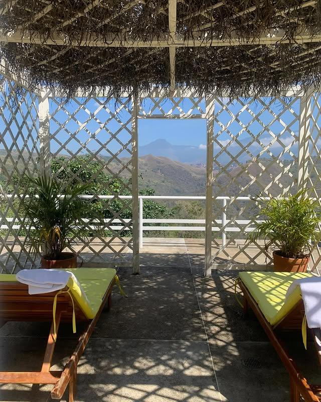 Boutique Hotel Mesod Jungle background