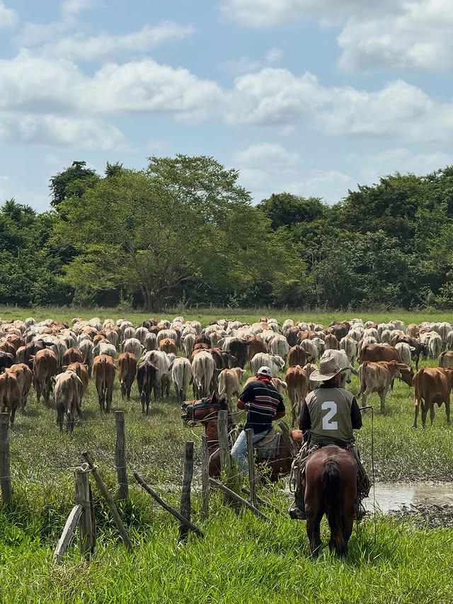 Posada Doña Barbara background
