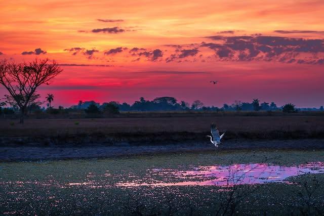 Posada Doña Barbara background