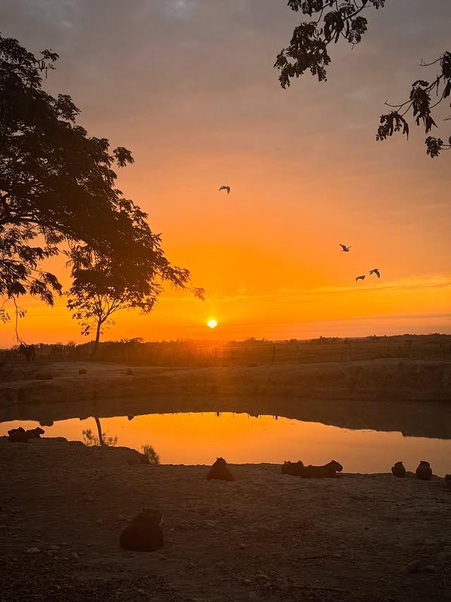 Posada Doña Barbara background