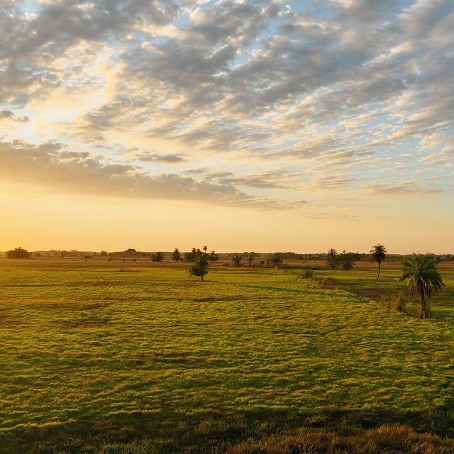 Posada Doña Barbara background