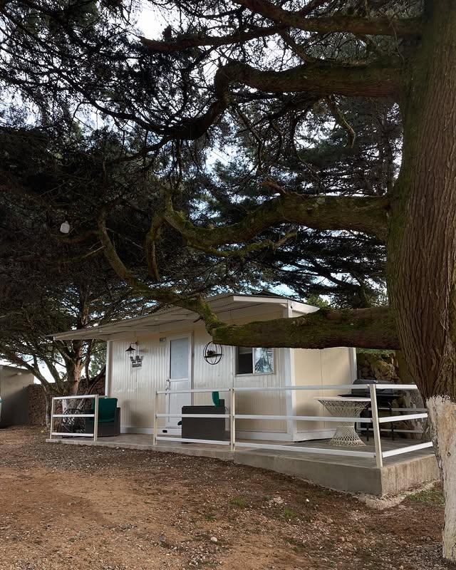 Posada MyCamper background