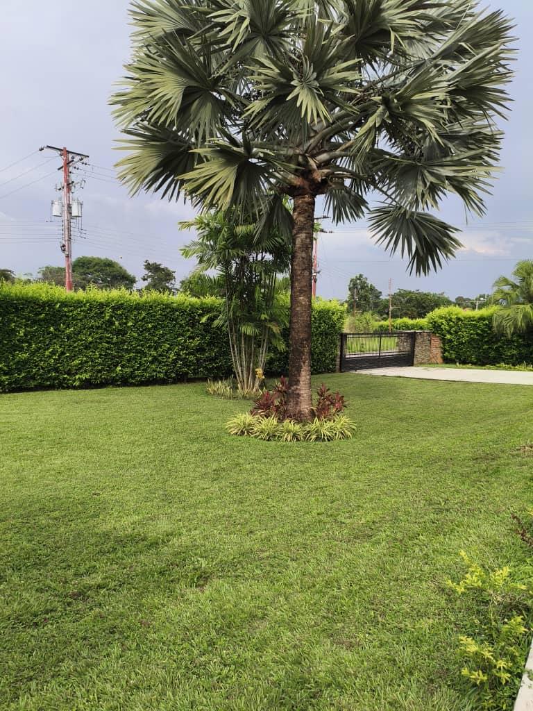 Finca Vista Hermosa background