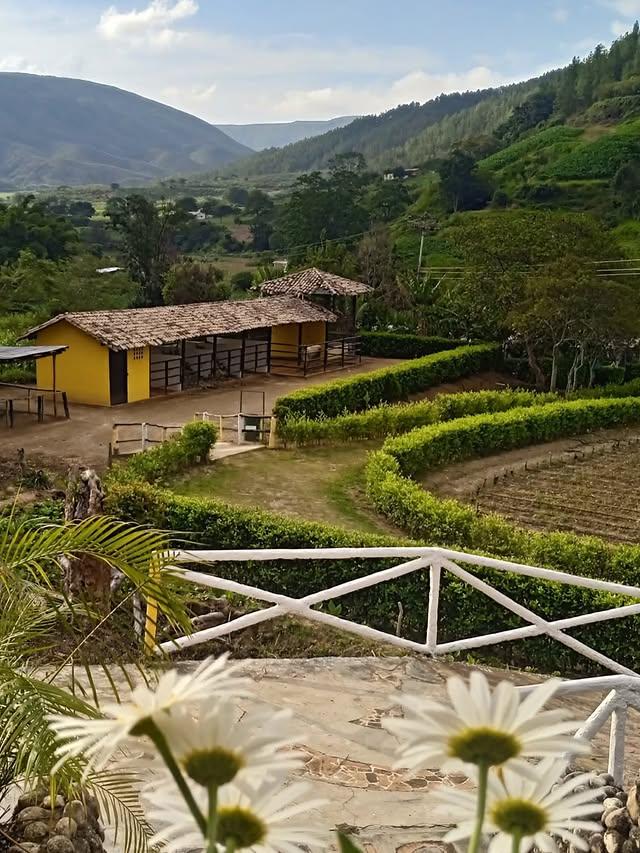 Posada Rio Arriba background