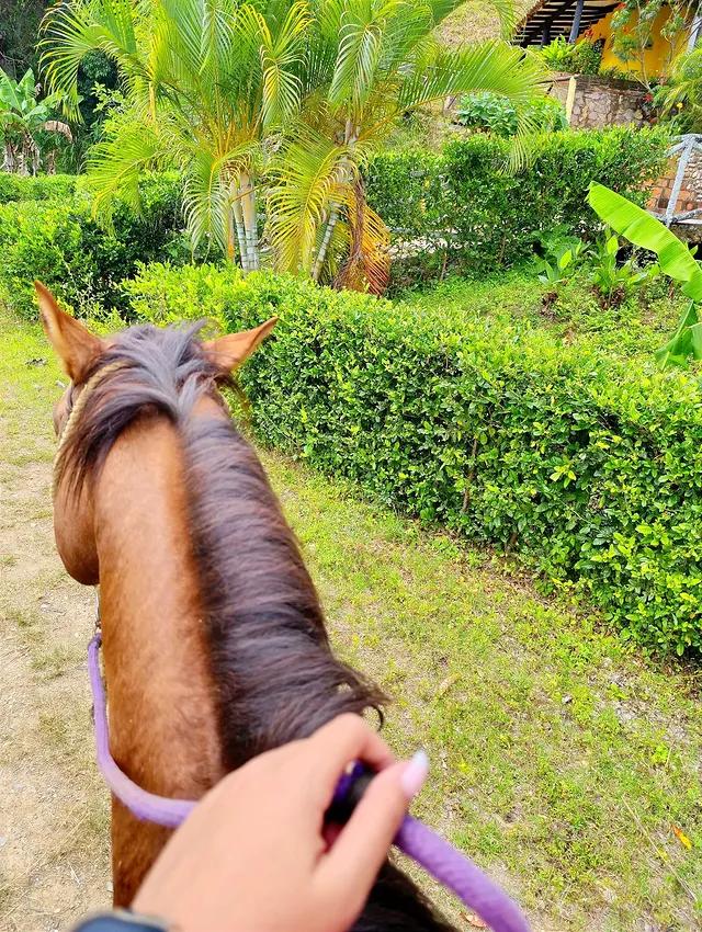 Posada Rio Arriba background