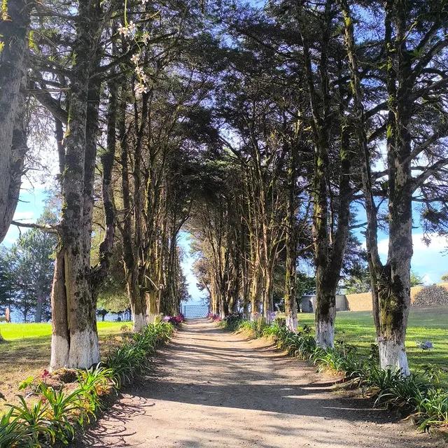 Posada El Pinar background