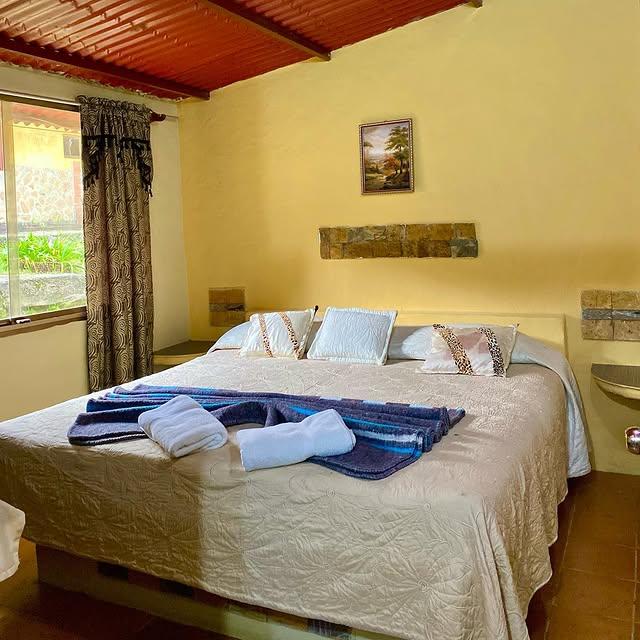 Posada El Pinar background