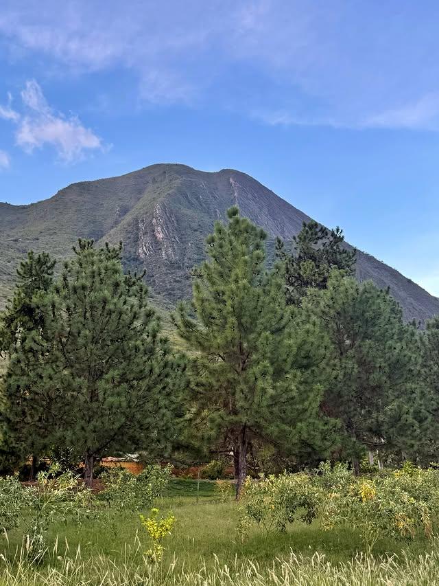 Los Humacos Posada background