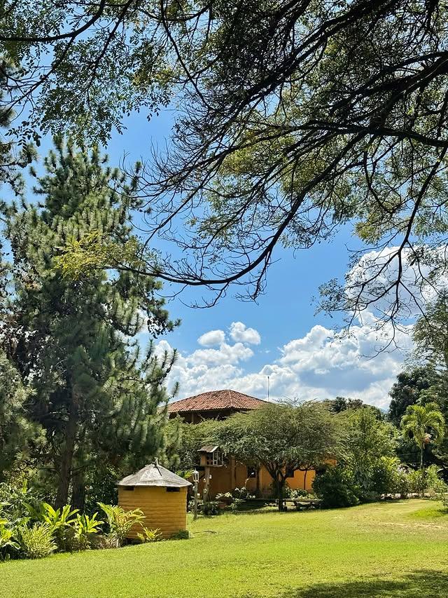 Los Humacos Posada background