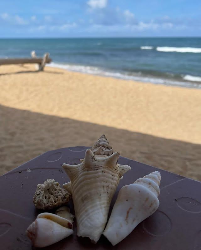 La Casa del Cabo background