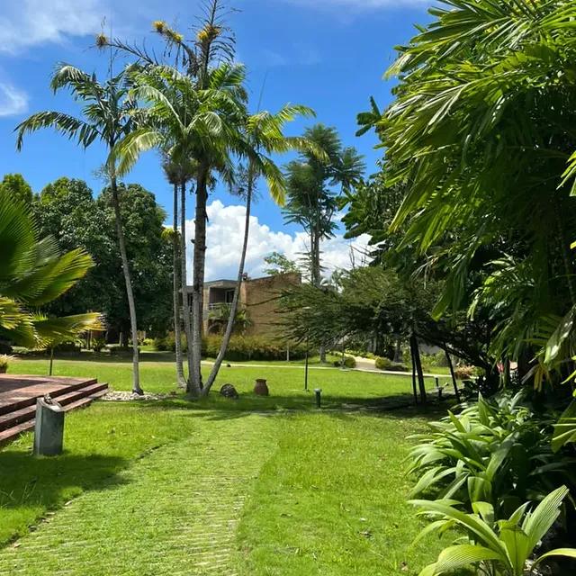 Hotel la Guarida background