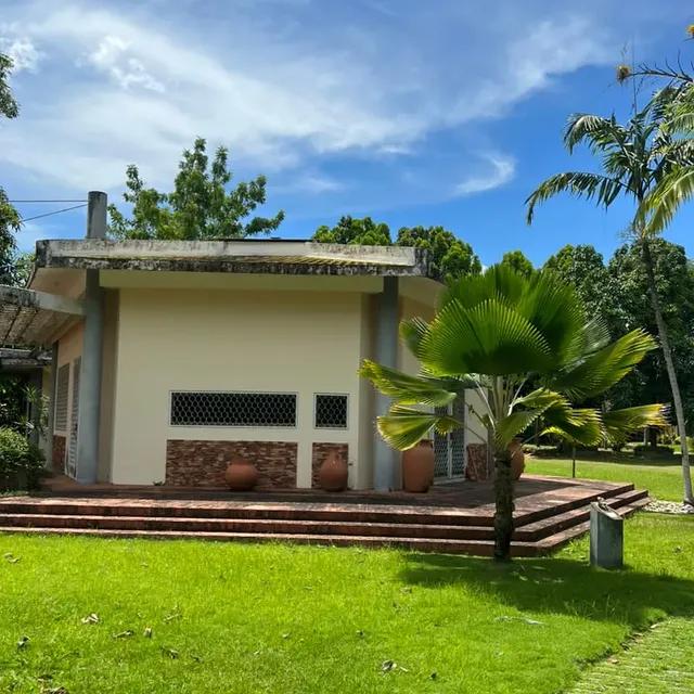 Hotel la Guarida background