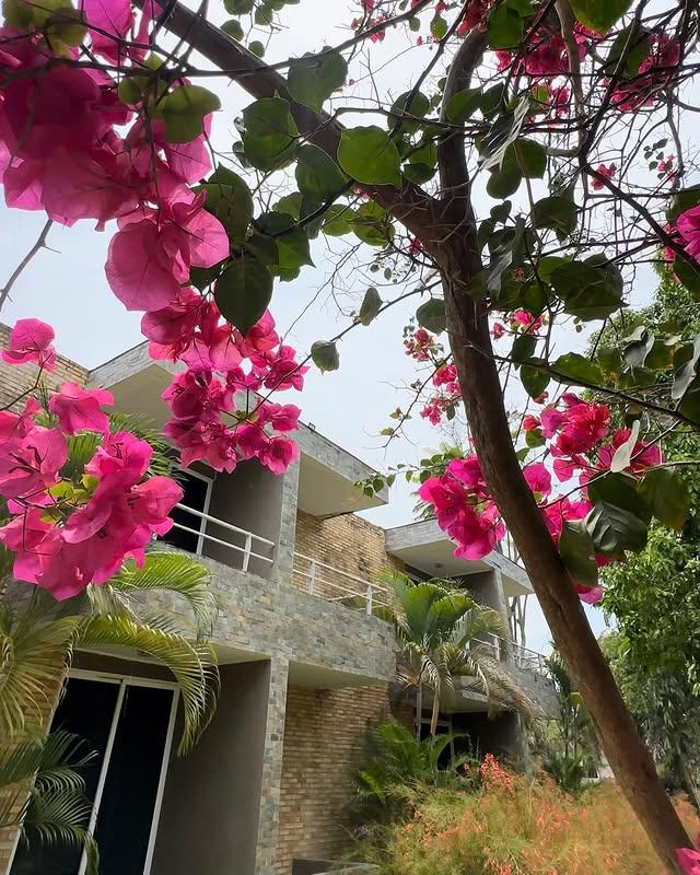 Hotel la Guarida background