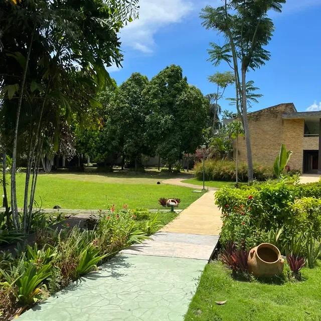 Hotel la Guarida background