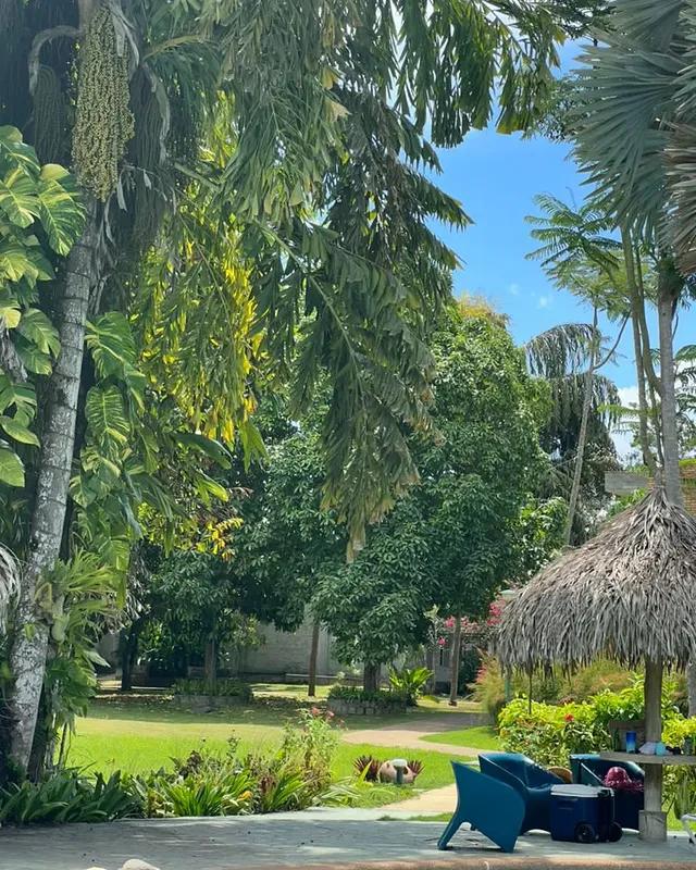 Hotel la Guarida background